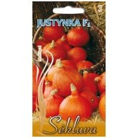 Dideli moliūgai Justynka F1 7s