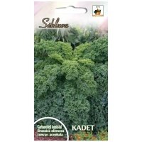 Garbanotieji kopūstai Kadet 1g
