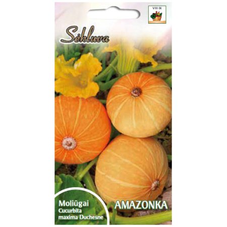 Didieji moliūgai Amazonka 13s