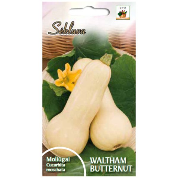 Muskusiniai moliūgai Waltham Butternut 25g