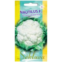 Nautilius-F1 Žiediniai kopūstai Nautilus F1 500s