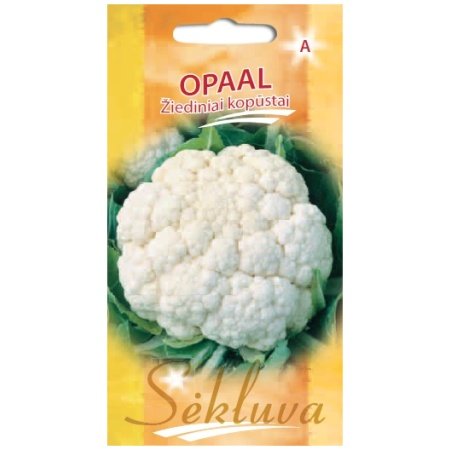Žiediniai kopūstai Opaal 2500s