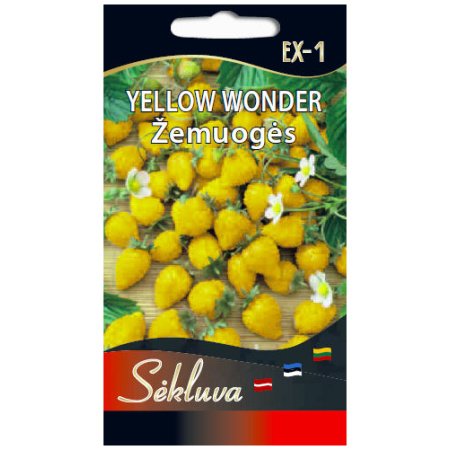 Žemuogės Yellow Wonder 3g
