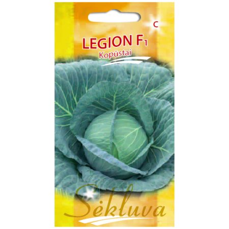 legion1 Baltieji gūžiniai kopūstai Legion F1 2500s