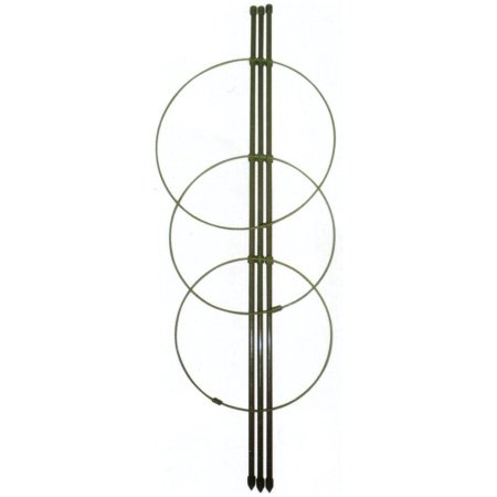 Taimetoed, 90 cm, lillede tornhoidik