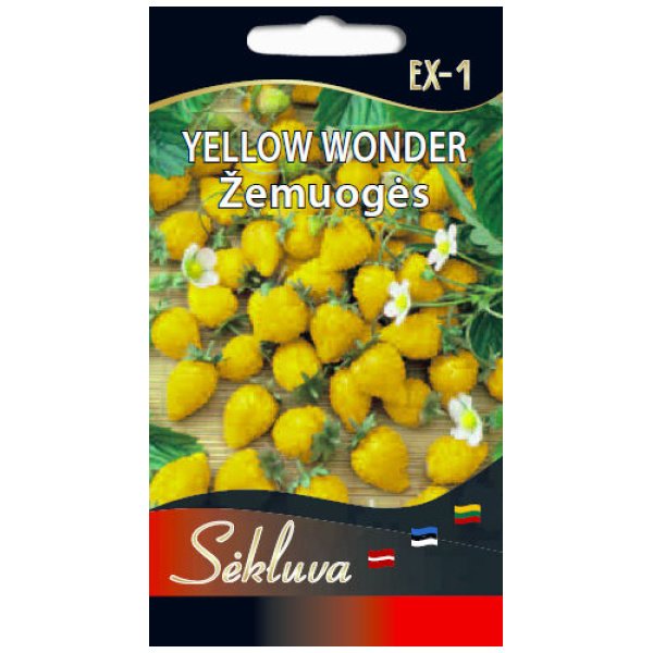 Yellow-Wonder Žemuogės Yellow Wonder 0,1