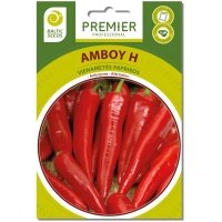 astriosios-paprikos-seklos-amboy-h-10s Aštriosios paprikos AMBOY H (F1), 10 sėklų