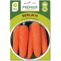 morku-seklos-morkos-berlin-h-600-seklu Morkos BERLIN H (F1), 600 sėklų