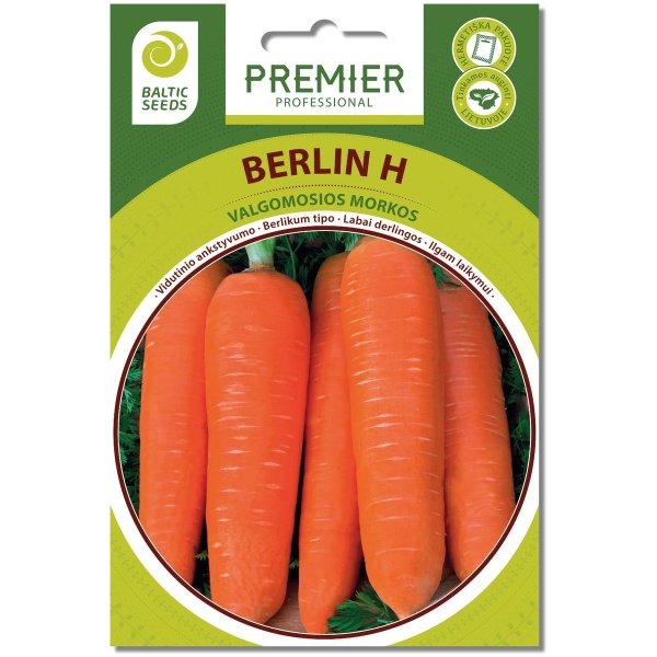 morku-seklos-morkos-berlin-h-600-seklu Morkos BERLIN H (F1), 600 sėklų