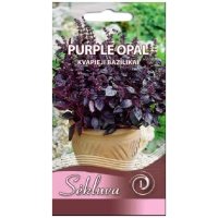 purple_opal Kvapieji bazilikai Purple Opal