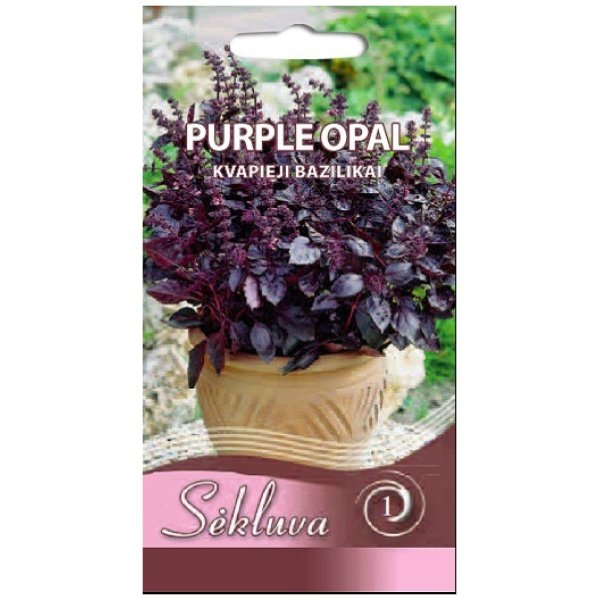 purple_opal Kvapieji bazilikai Purple Opal