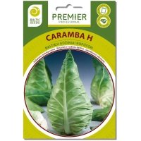 Baltagūžu kāpostu CARAMBA H (F1), 30 sēklas