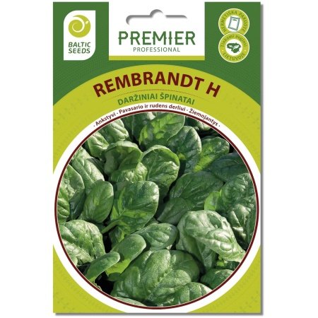 Špinatai REMBRANDT H (F1), 300 sėklų