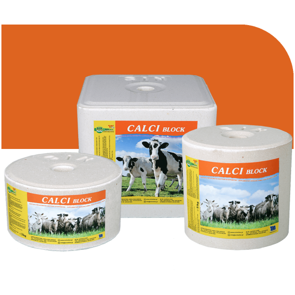 CALCIBLOCK balta 3kg