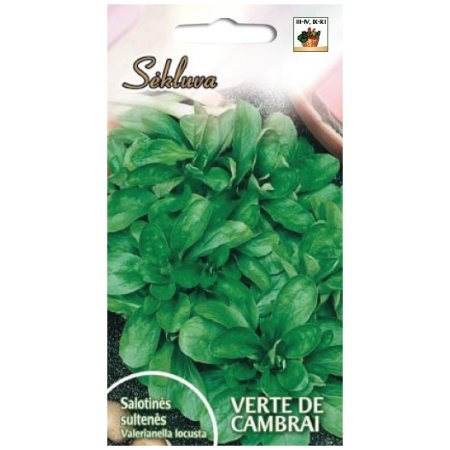 VERTE_DE_CAMBRAI Salotinės sultenės Verte de Cambrai