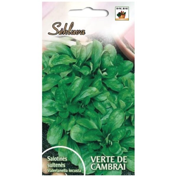 VERTE_DE_CAMBRAI Salotinės sultenės Verte de Cambrai