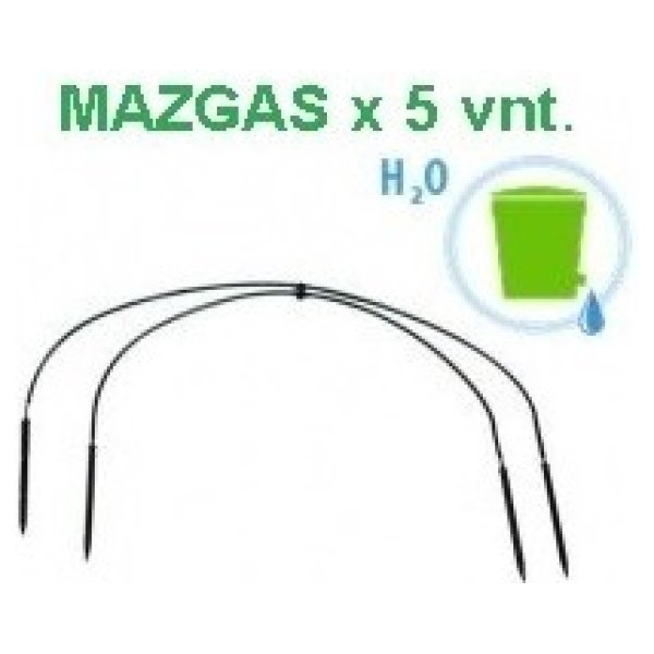 Mazgas "Keturkojis G" (5 vnt.)