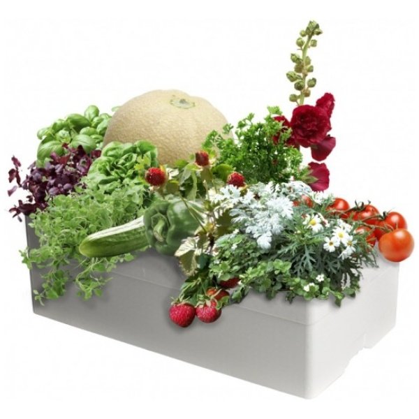 watarmatic-lux-med-planter-1024x914-100-600x600 Põllumajandus Basic kastmissüsteem