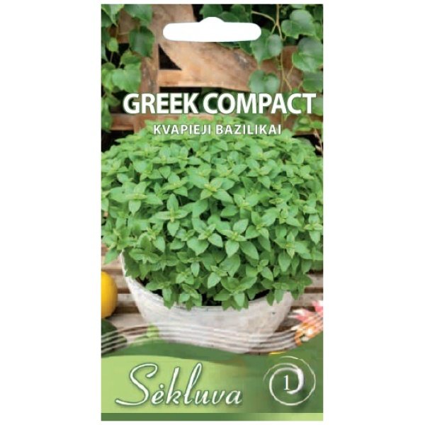 bazilikai-Green-Compact Kvapieji bazilikai Greek Compact