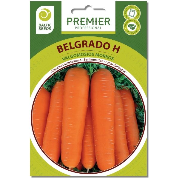 Belgrada Burkāni BELGRADO H (F1), 600 sēklas