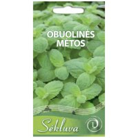 Obuolinės mėtos