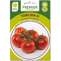 stambiavaisiai-aukstaugiai-pomidorai-torcida-pomidoru-seklos-8s Pomidorai TORCIDA H (F1), 8 sėklos