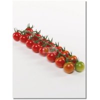 Pomidorai TONATICO H (F1), 8 sėklos
