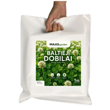 Rododendru – kopija Baltieji dobilai (0,2 kg) – vešli, žalia ir žydinti veja be vargo