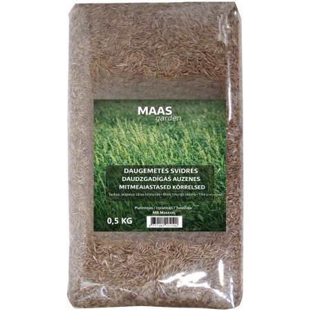 svidrė Daugiametė svidrė (500 g) – žaibiškas dygimas, tankumas ir maksimalus atsparumas trypimui
