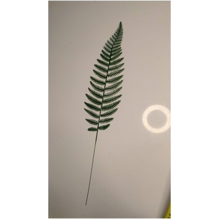 5d2ee3f7-eede-4a16-acdd-4c17f82a3820 Dirbtinė gėlė papartis