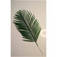 Dirbtinė gėlė palmės lapas 73cm